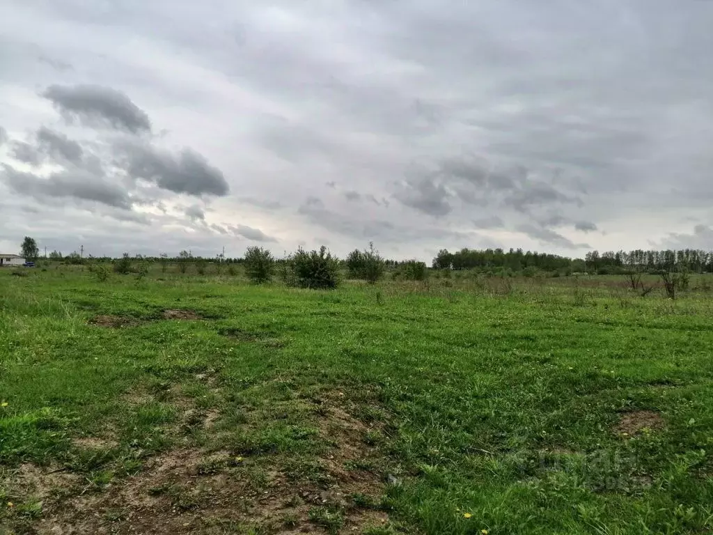 Участок в Пензенская область, Городищенский район, с. Павло-Куракино  ... - Фото 1