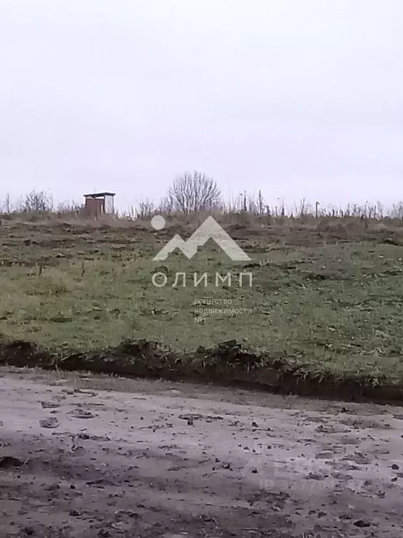Участок в Ярославская область, Ярославский муниципальный округ, д. ... - Фото 1