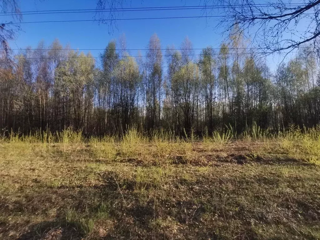 Участок в Владимирская область, Суздальский район, с. Новоалександрово ... - Фото 0