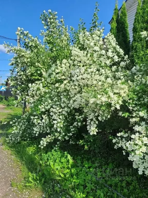 Участок в Москва д. Бачурино, уч11 (10.0 сот.) - Фото 1