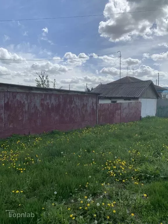 Участок в Алтайский край, Павловский район, с. Шахи Новая ул., 14 ... - Фото 2