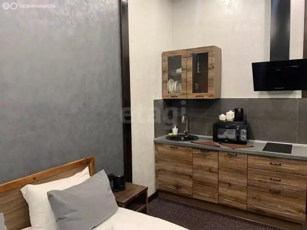 Квартира-студия: Сыростан, улица Фёдора Конюхова, 3 (26.5 м) - Фото 2