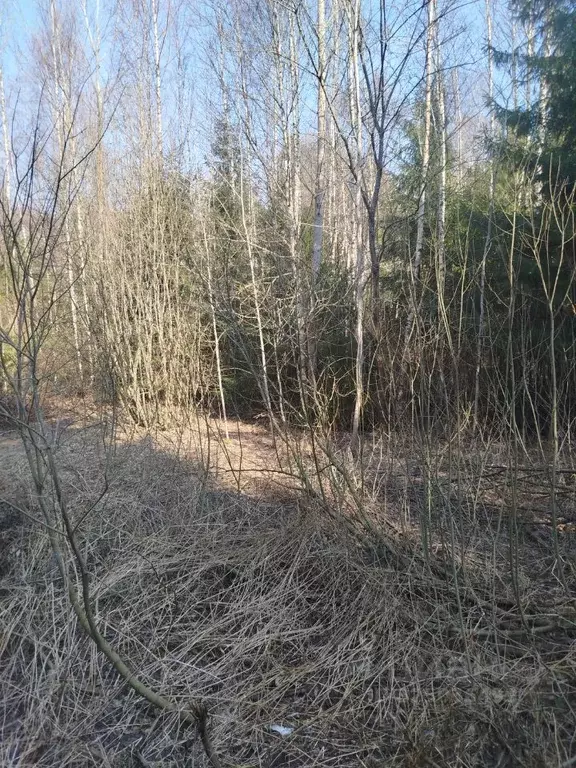 Участок в Московская область, Клин городской округ, д. Тиликтино  (8.0 ... - Фото 1