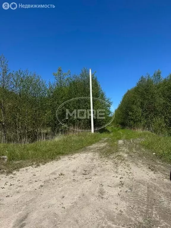 Участок в Калининградская область, Гурьевский муниципальный округ, СНТ ... - Фото 2