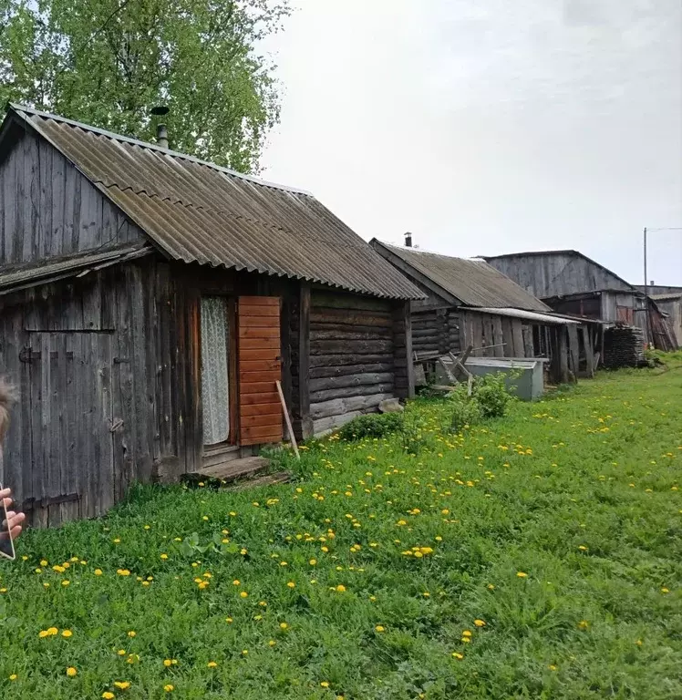 Дом в Нижегородская область, Дивеевский муниципальный округ, с. ... - Фото 2