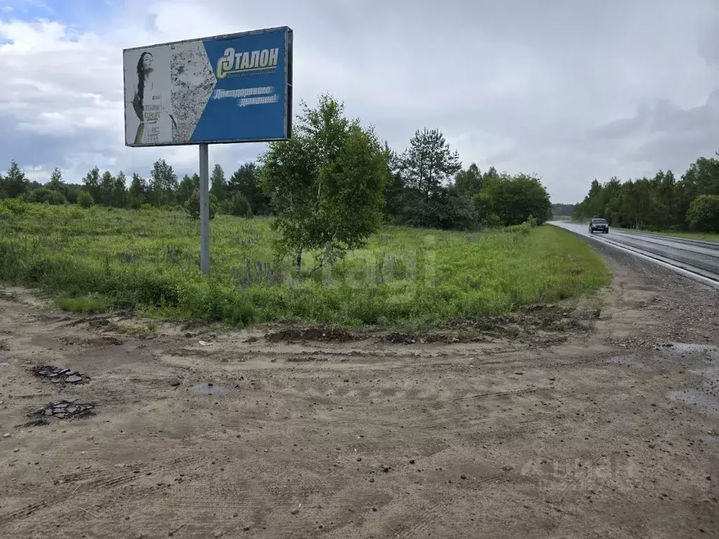 Участок в Брянская область, Брянский район, Нетьинское с/пос, Ласточка ... - Фото 1