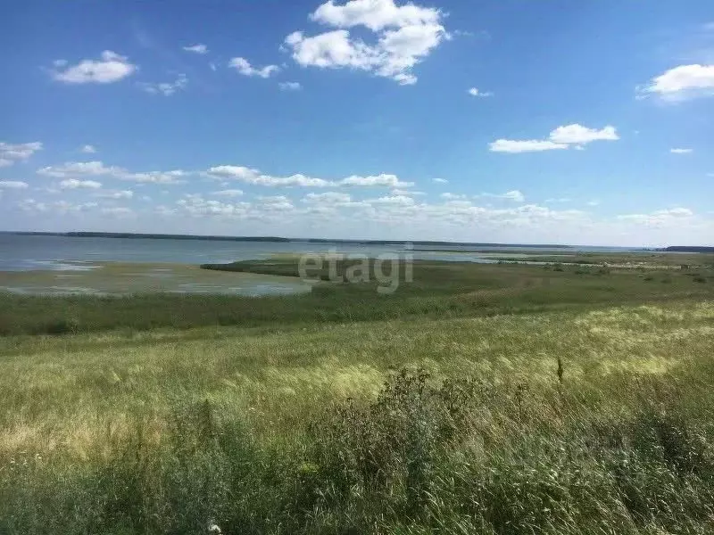 Участок в Новосибирская область, Ордынский район, Пичугово море кп ул. ... - Фото 1