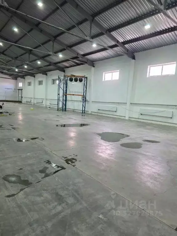 Производственное помещение в Московская область, Лосино-Петровский ... - Фото 1