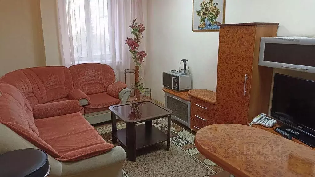 Комната Челябинская область, Златоуст ул. Аносова, 180А (25.0 м) - Фото 2