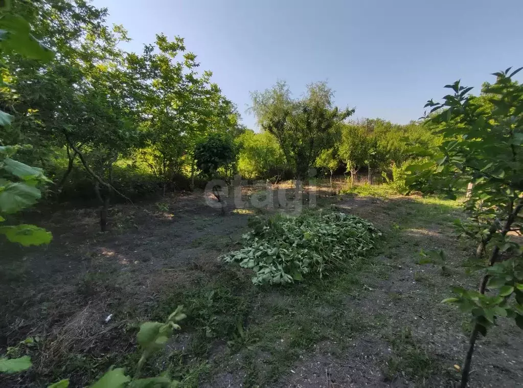 Участок в Краснодарский край, Новороссийск городской округ, ... - Фото 1