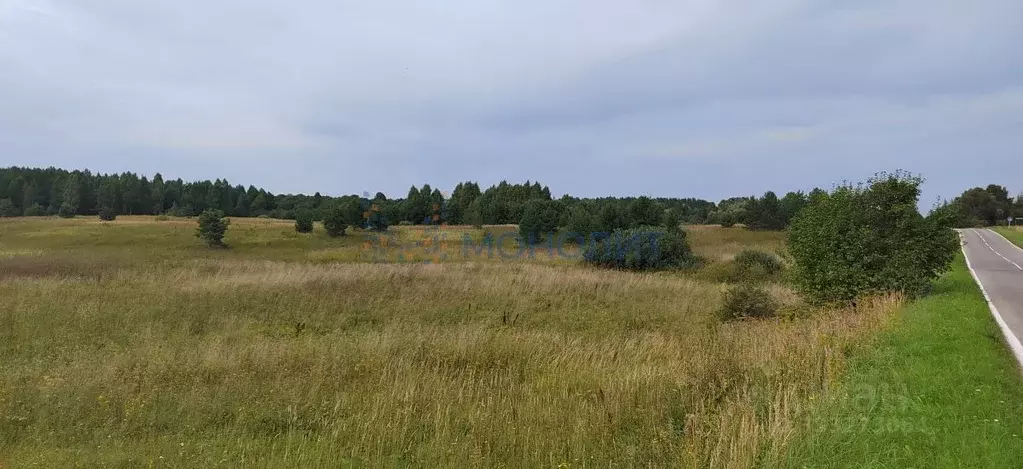 Участок в Нижегородская область, Богородский муниципальный округ, д. ... - Фото 1