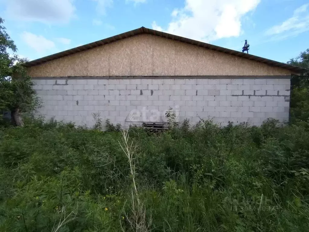 Дом в Нижегородская область, Нижний Новгород Красный Кожевник СНТ, 162 ... - Фото 1