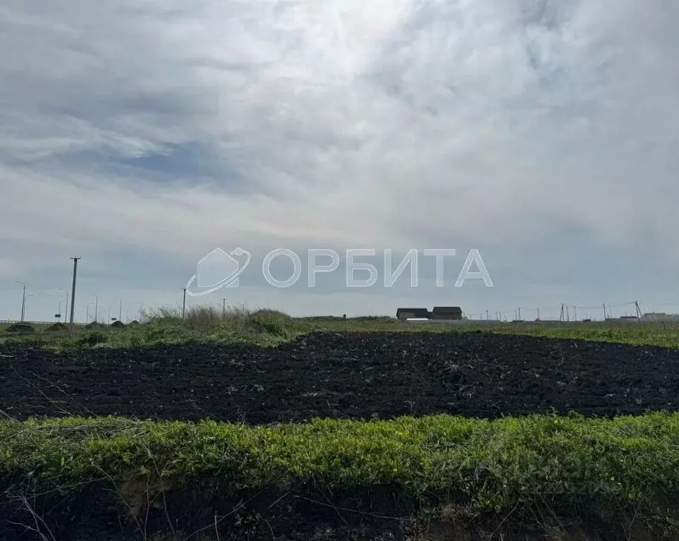 Участок в Тюменская область, Тюменский муниципальный округ, с. Борки  ... - Фото 0