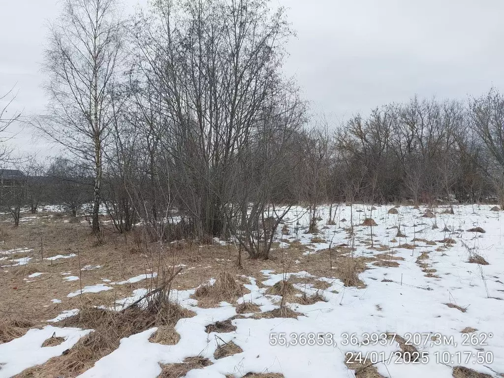 Участок в Московская область, Наро-Фоминский городской округ, д. ... - Фото 0