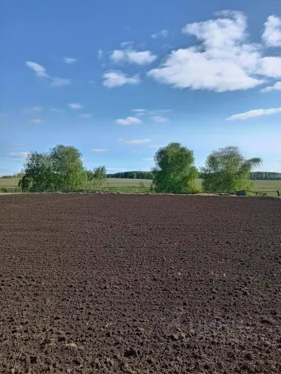 Участок в Красноярский край, Большемуртинско-Сухобузимский ... - Фото 1