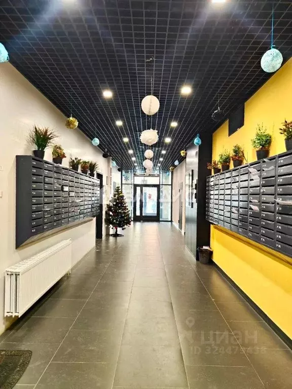 Студия Калужская область, Калуга ул. 65 лет Победы, 21 (26.1 м) - Фото 1