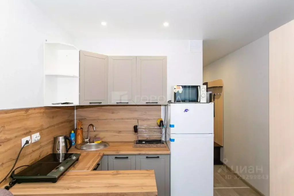 Студия Новосибирская область, Новосибирск ул. Забалуева, 102/2 (20.0 ... - Фото 1