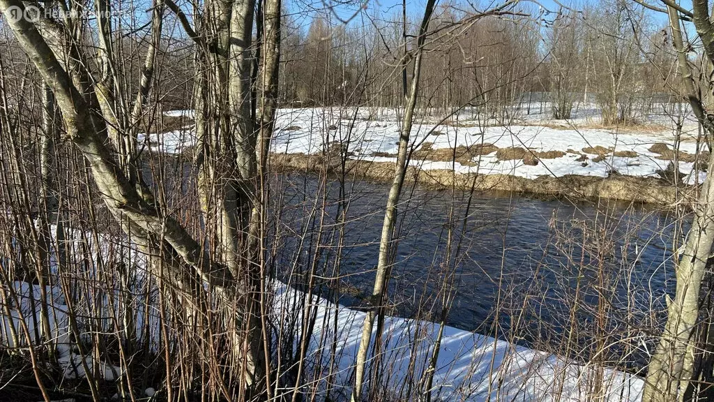 Дом в Конаково, 1-я Набережная улица, 108 (75 м) - Фото 2