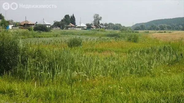 Участок в Бийский район, посёлок Мальцева Курья, улица Трофимова (50 ... - Фото 1