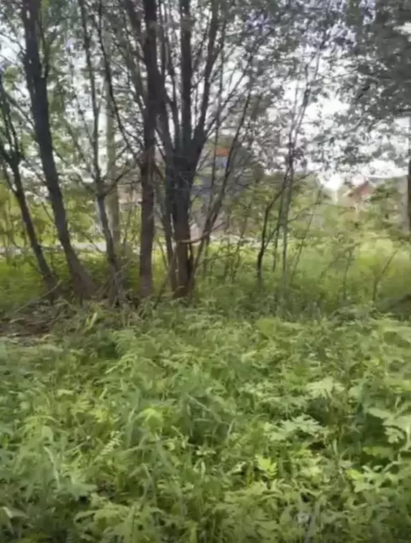 Участок в Владимирская область, Александровский муниципальный округ, ... - Фото 1