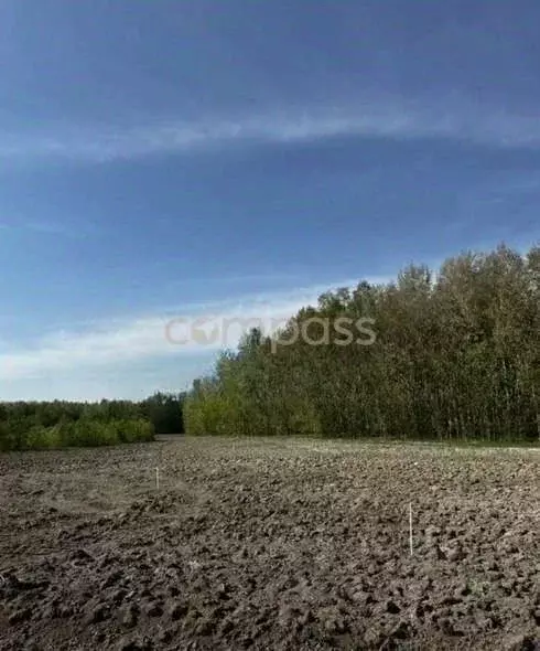 Участок в Тюменская область, Тюменский район, с. Горьковка Сибирская ... - Фото 0