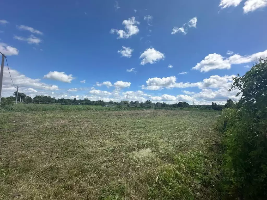 Участок в Хабаровский край, Хабаровский район, с. Ракитное, 60-й кв-л  ... - Фото 2