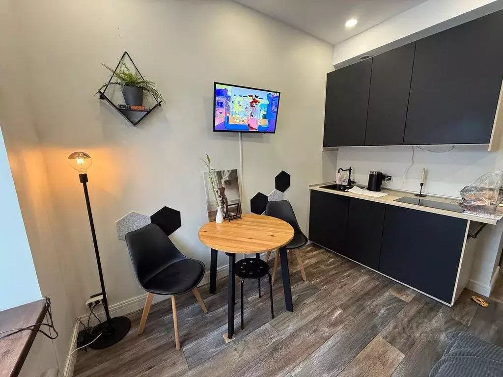 Студия Москва Балакиревский пер., 23 (21.0 м) - Фото 2