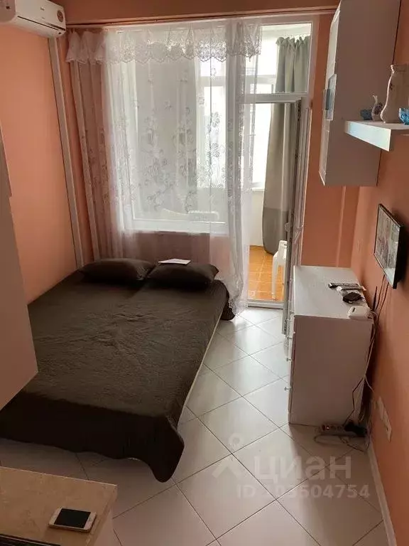 1-к кв. Севастополь с. Орловка, ш. Качинское, 35 (20.0 м) - Фото 0