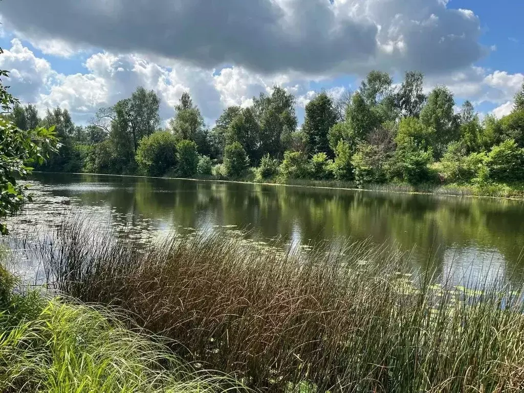 Участок в Ярославская область, Ярославский муниципальный округ, д. ... - Фото 1