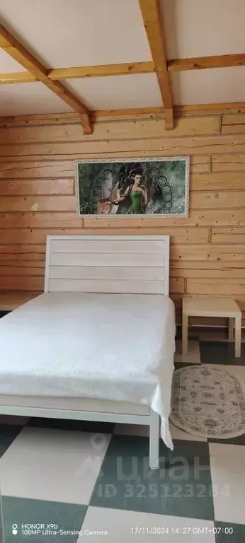 2-к кв. Алтайский край, Белокуриха Славянская ул., 4 (60.0 м) - Фото 2