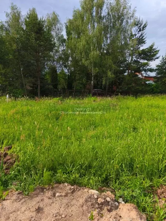 Участок в Московская область, Одинцовский городской округ, д. Щедрино ... - Фото 2