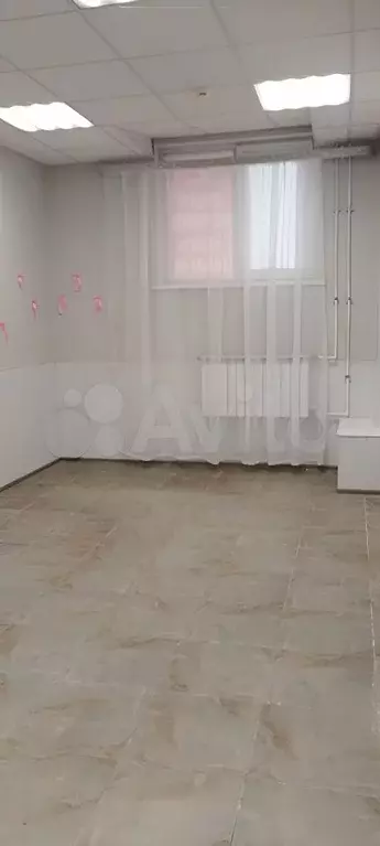 Помещение свободного назначения в Ленинградская область, Всеволожск ... - Фото 2