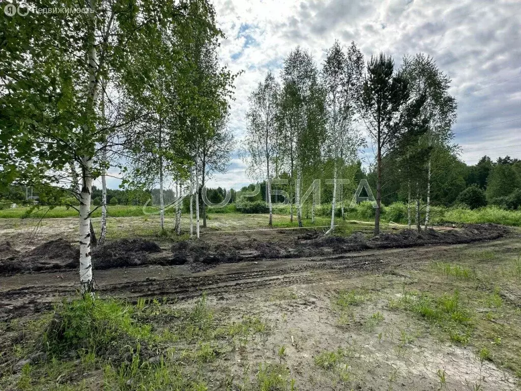 Участок в Тюменский район, деревня Головина (10 м) - Фото 1