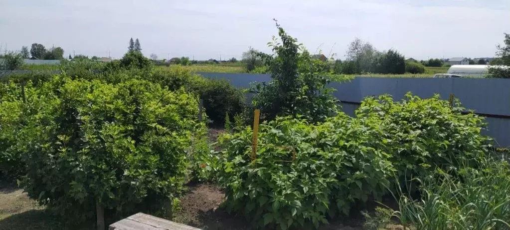 Дом в Свердловская область, Каменский муниципальный округ, с. ... - Фото 1