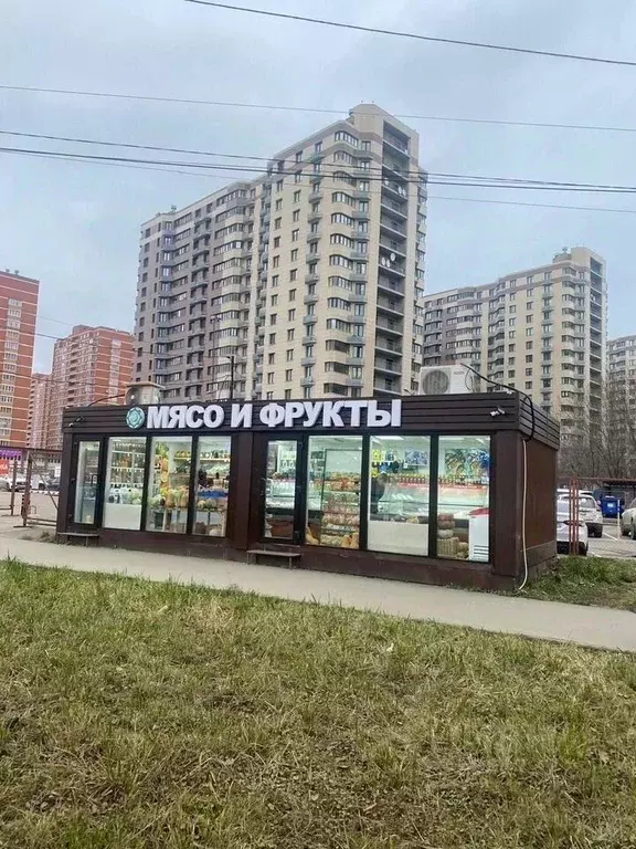 Торговая площадь в Московская область, Видное ул. Завидная, 10 (20 м) - Фото 1