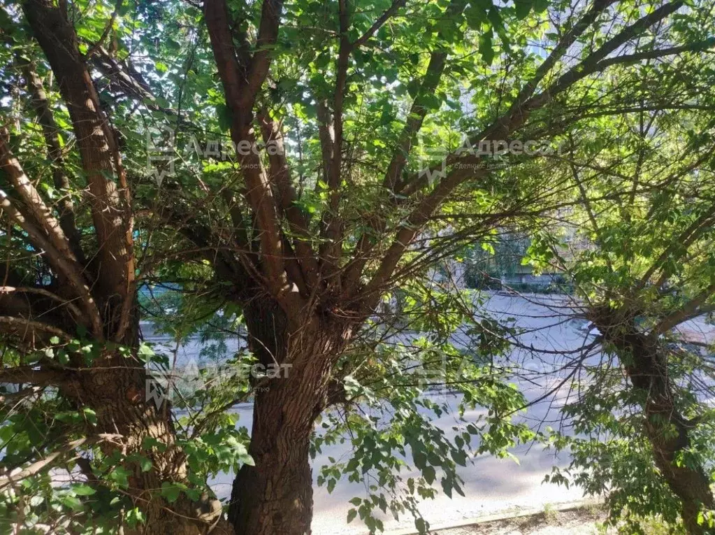 Комната Волгоградская область, Волгоград ул. Героев Малой Земли, 50 ... - Фото 1