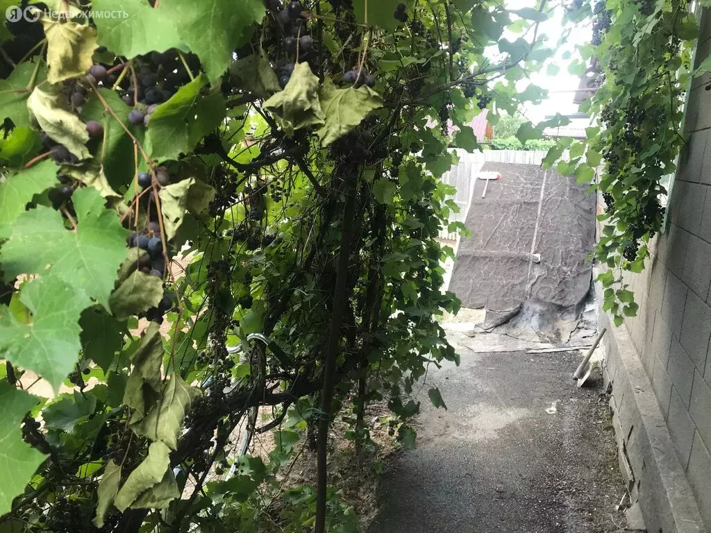 Дом в Каменск-Шахтинский, Первомайская улица (35 м) - Фото 1