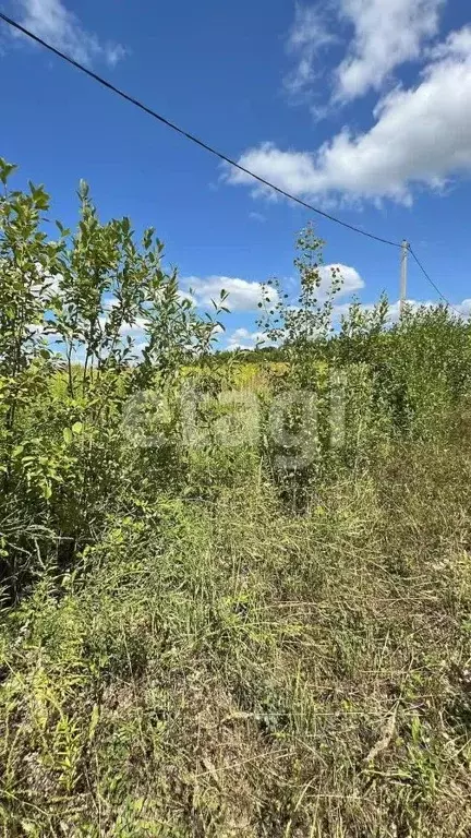 участок в тульская область, киреевский район, красноярское . - Фото 0