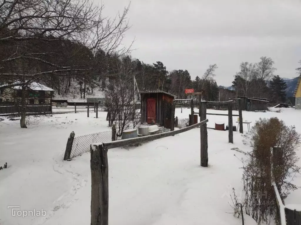 Участок в Алтай, Чемальский район, Узнезинское с/пос, с. Узнезя ул. ... - Фото 2