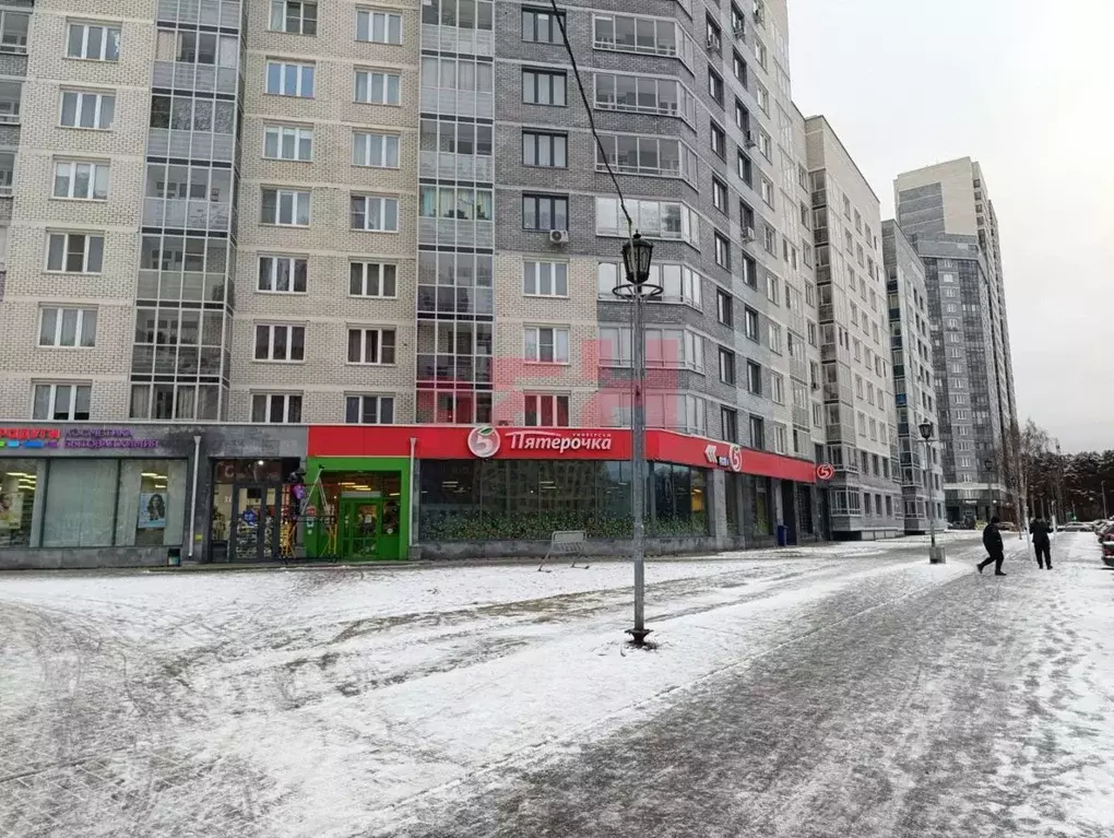 Помещение свободного назначения в Свердловская область, Екатеринбург ... - Фото 1