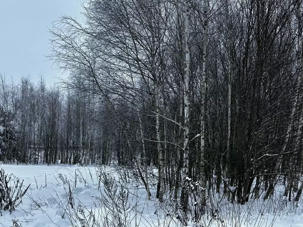 Участок в Московская область, Ступино городской округ, с. Ивановское  ... - Фото 1