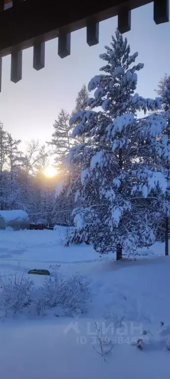 Участок в Саха (Якутия), Якутск городской округ, с. Маган  (10.0 сот.) - Фото 2