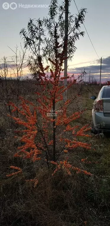 Участок в Кармаскалинский район, Подлубовский сельсовет (8.06 м) - Фото 1