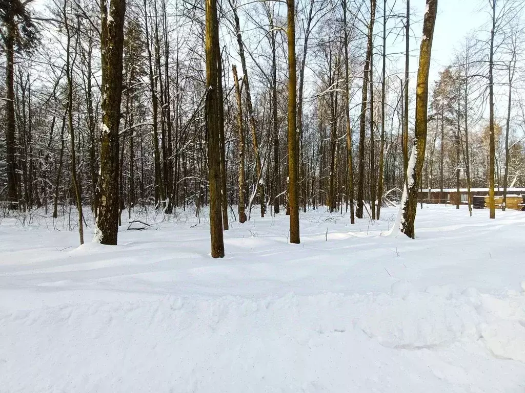 Участок в Московская область, Ленинский городской округ, д. Спасские ... - Фото 1