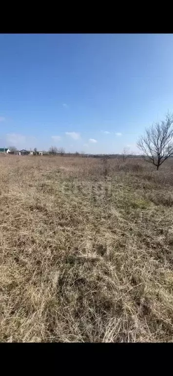 Участок в Крым, Симферопольский район, Мазанское с/пос, с. Красновка ... - Фото 1