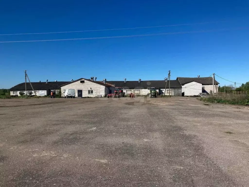 Склад в Псковская область, Псковский район, Логозовская волость, д. ... - Фото 1