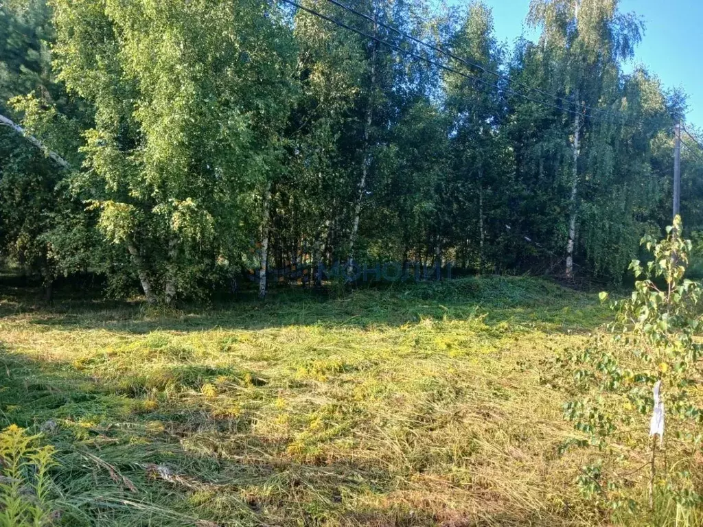 Участок в Нижегородская область, Дальнеконстантиновский муниципальный ... - Фото 2