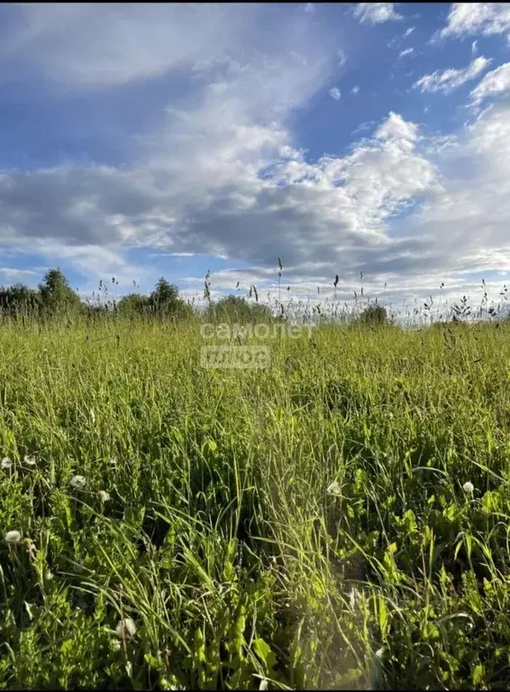 Участок в Кировская область, Киров городской округ, д. Машкины  (266.0 ... - Фото 1