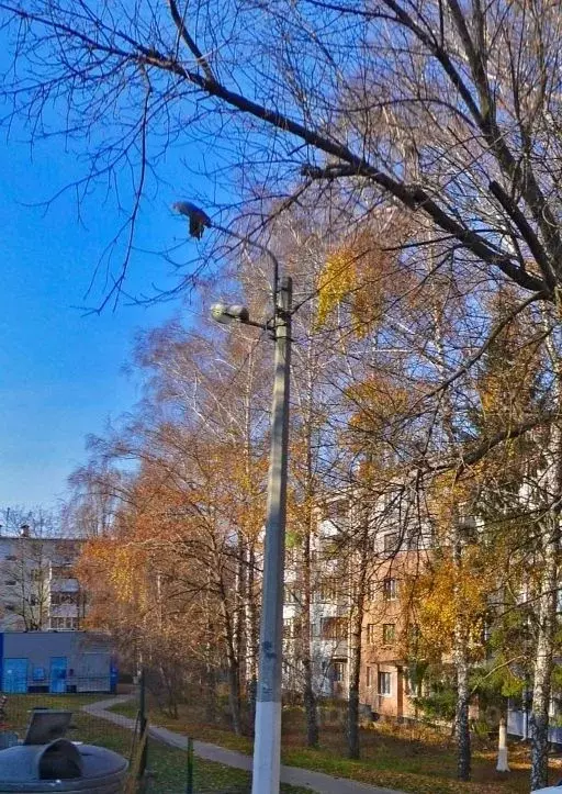 2-к кв. Белгородская область, Белгород ул. Костюкова, 28 (45.0 м) - Фото 2