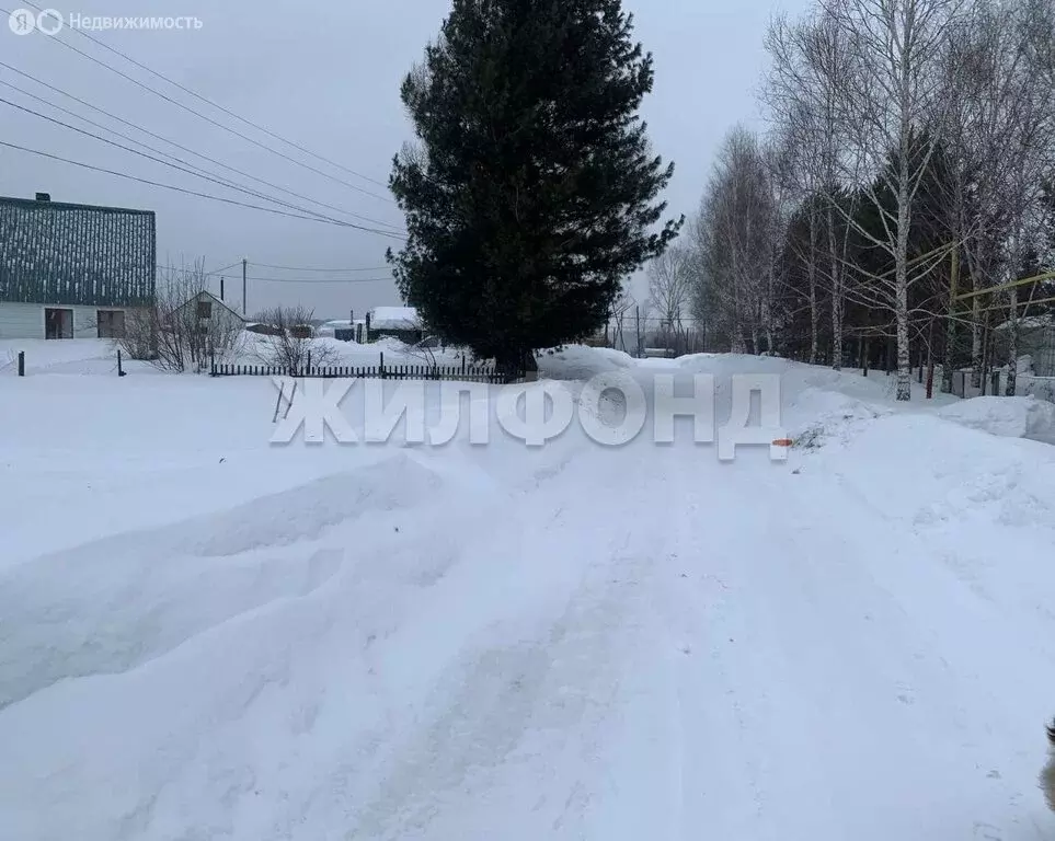 Участок в Репьёвский сельсовет, деревня Шмаково, Инская улица (15 м) - Фото 1